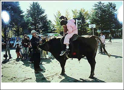 소타기도 했다. 나이가 9살인 이 검은소는 우리 나라 전통소인 '칙소'라는데 나도 생전 처음 보는 소였다. 보통 한우보다 덩치가 더 크고 힘이 셌다. 